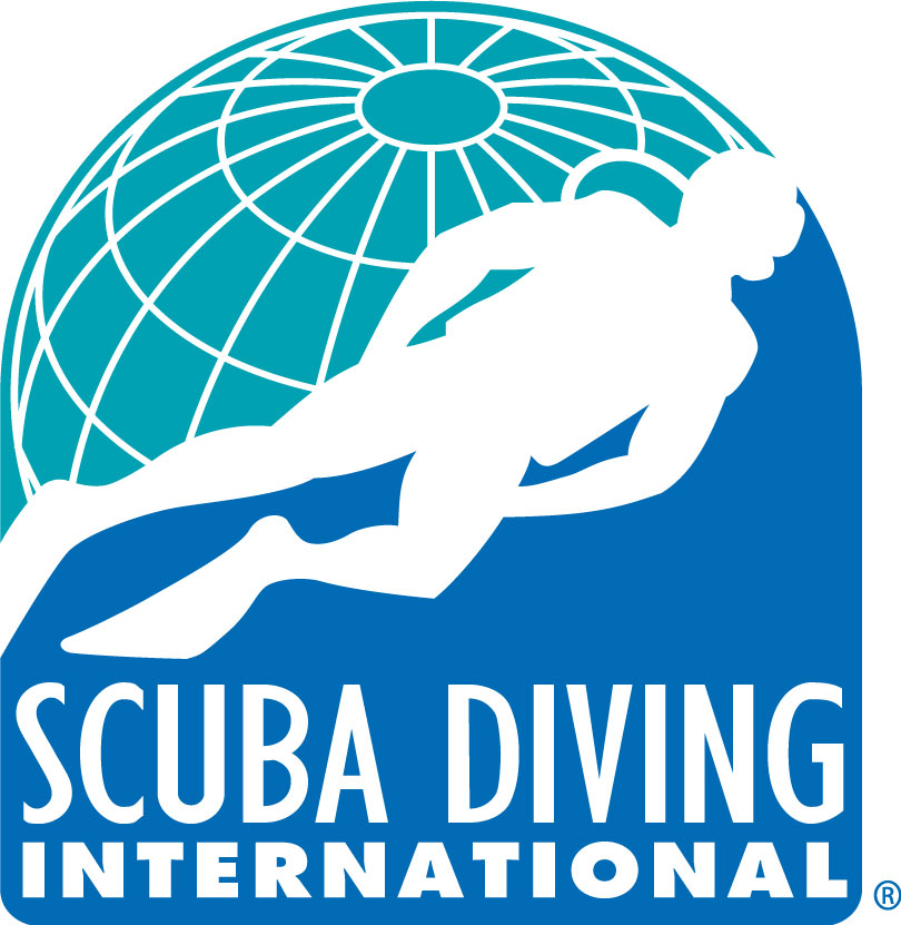 SDI Logo